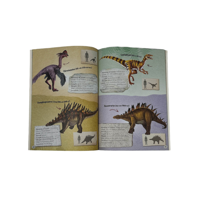 Dig & Discover Dinosaurs Kit
