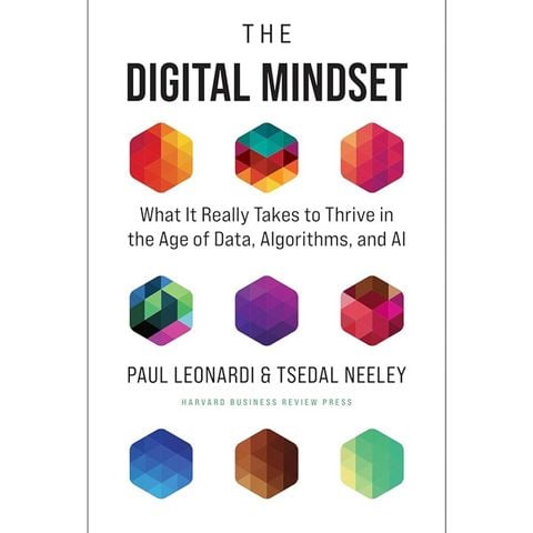 The Digital Mindset
