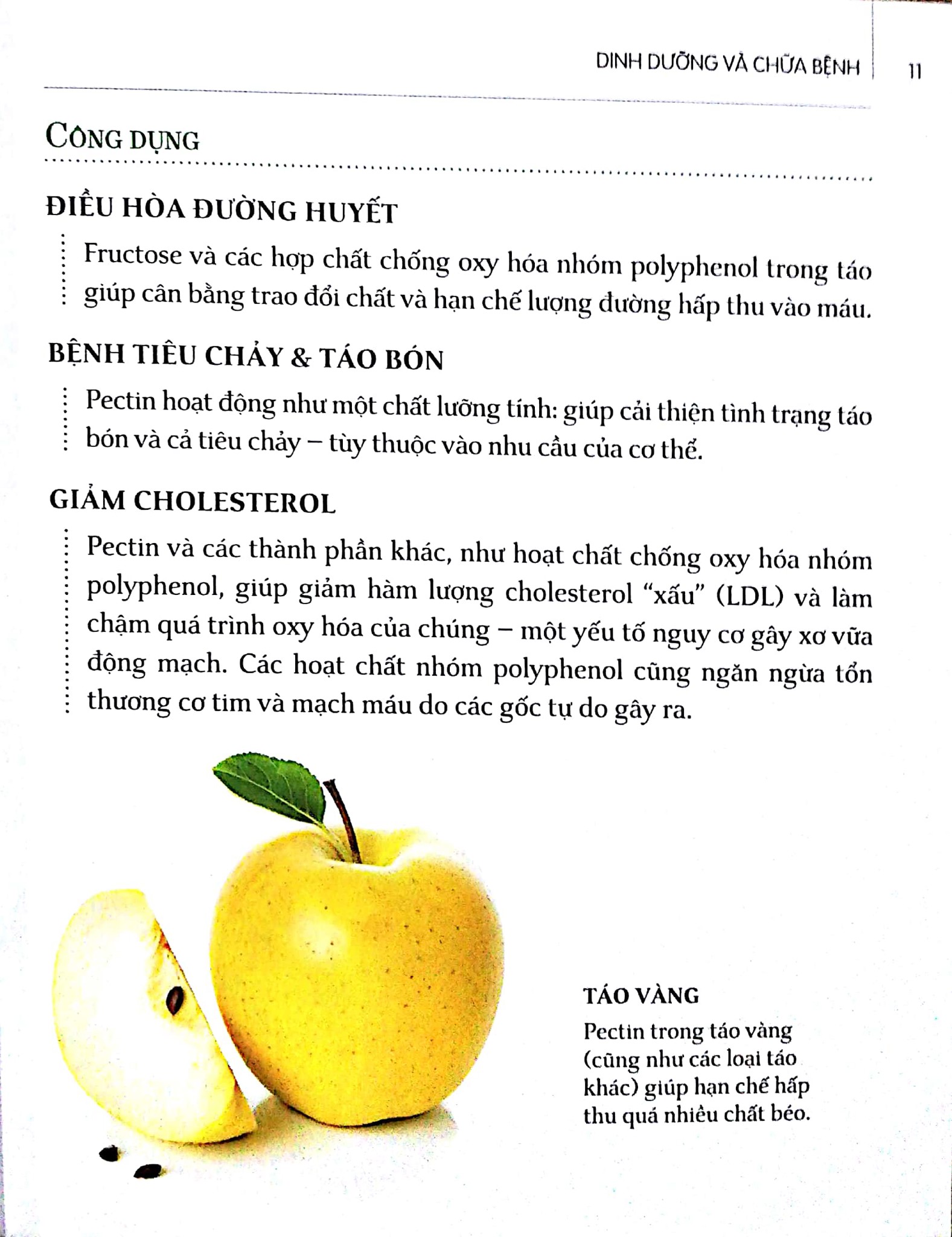 Dinh Dưỡng Chữa Bệnh - Trái Cây