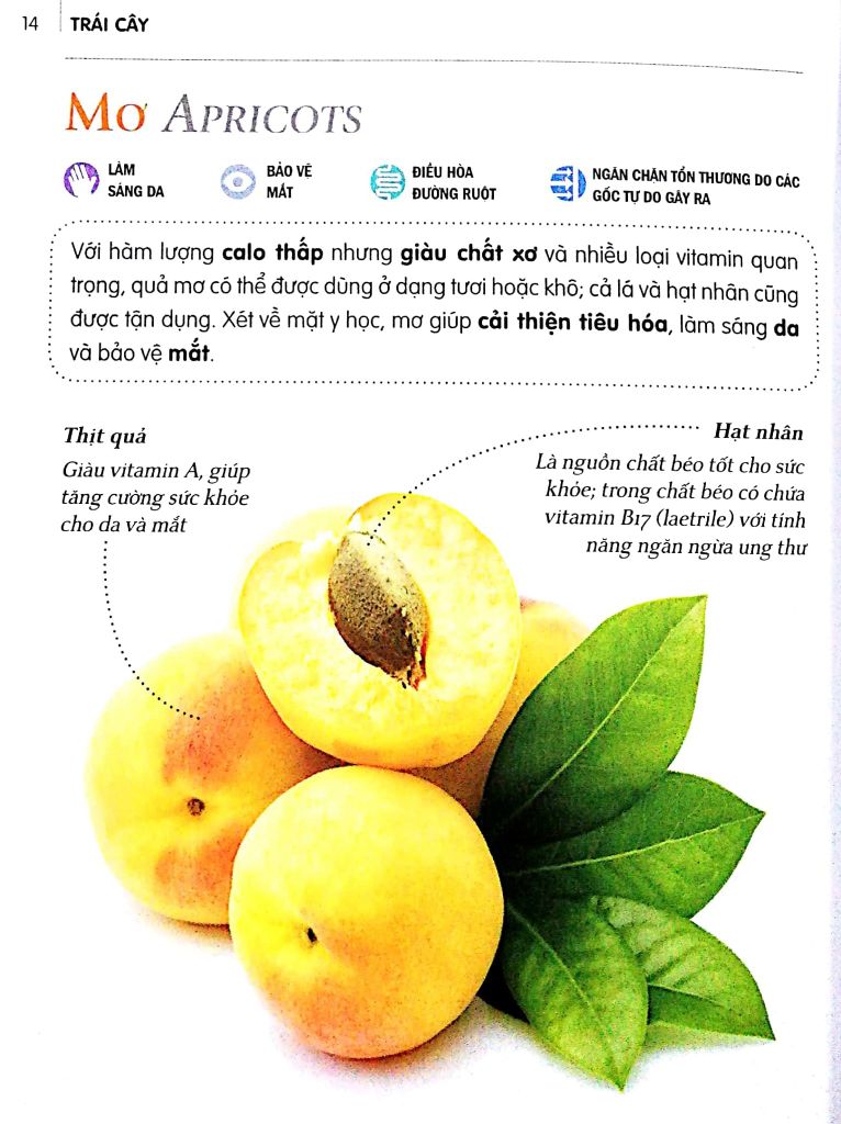 Dinh Dưỡng Chữa Bệnh - Trái Cây