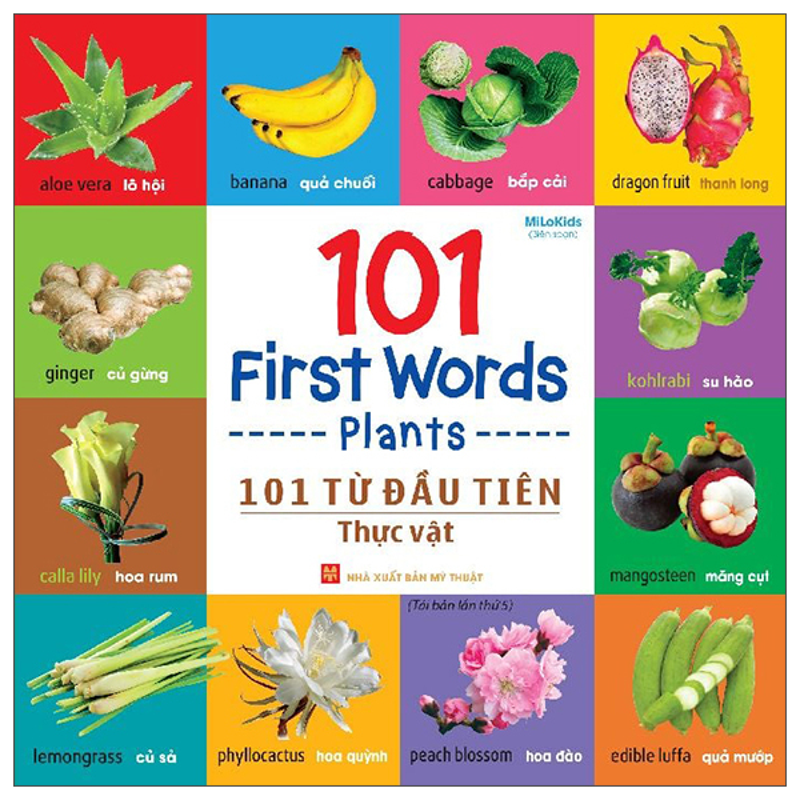Đồ Dùng Thân Thiết-101 Từ Đầu Tiên