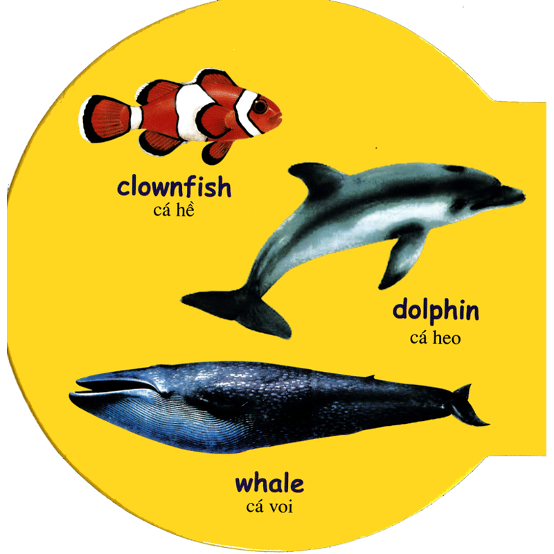 Động Vật Biển-Sea Animals(tròn)