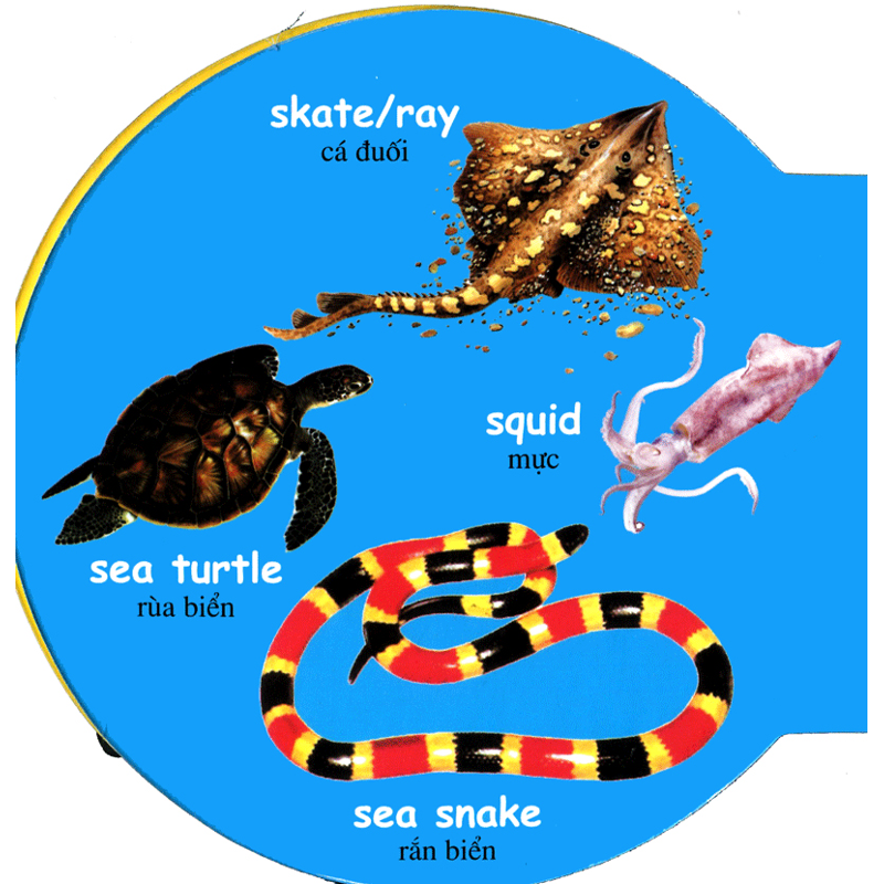 Động Vật Biển-Sea Animals(tròn)