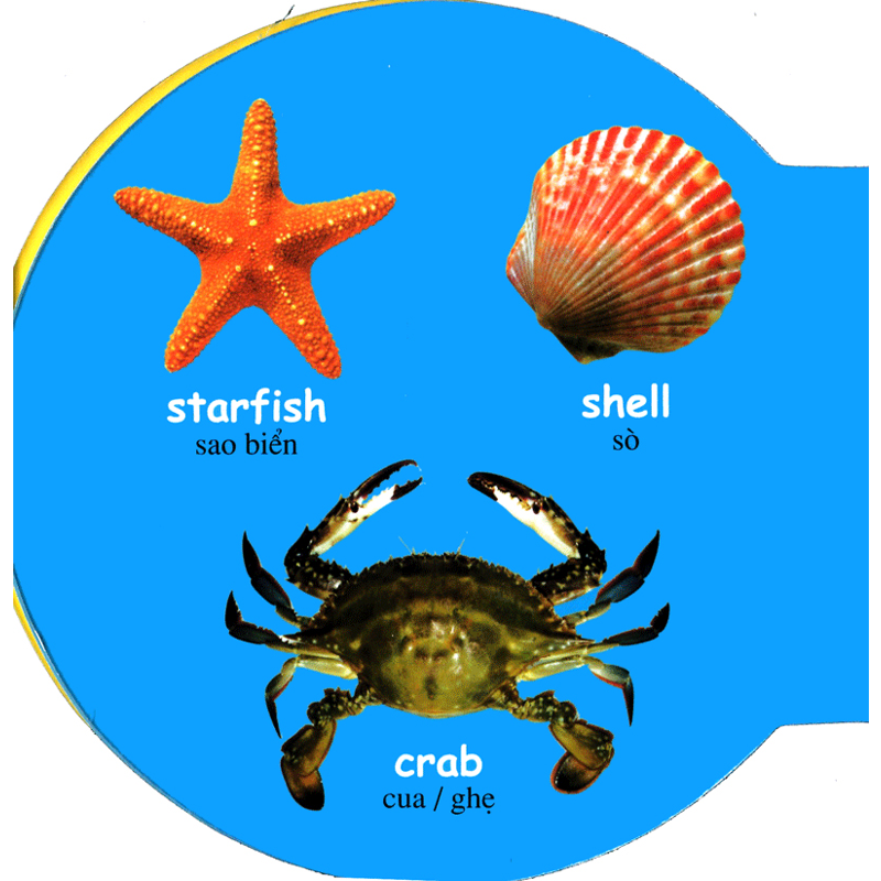 Động Vật Biển-Sea Animals(tròn)