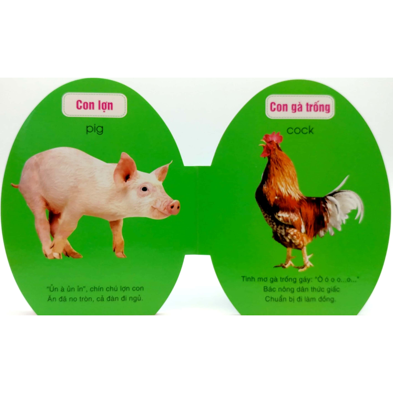 Động Vật Nuôi - Quả Trứng Đáng Yêu Của Bé