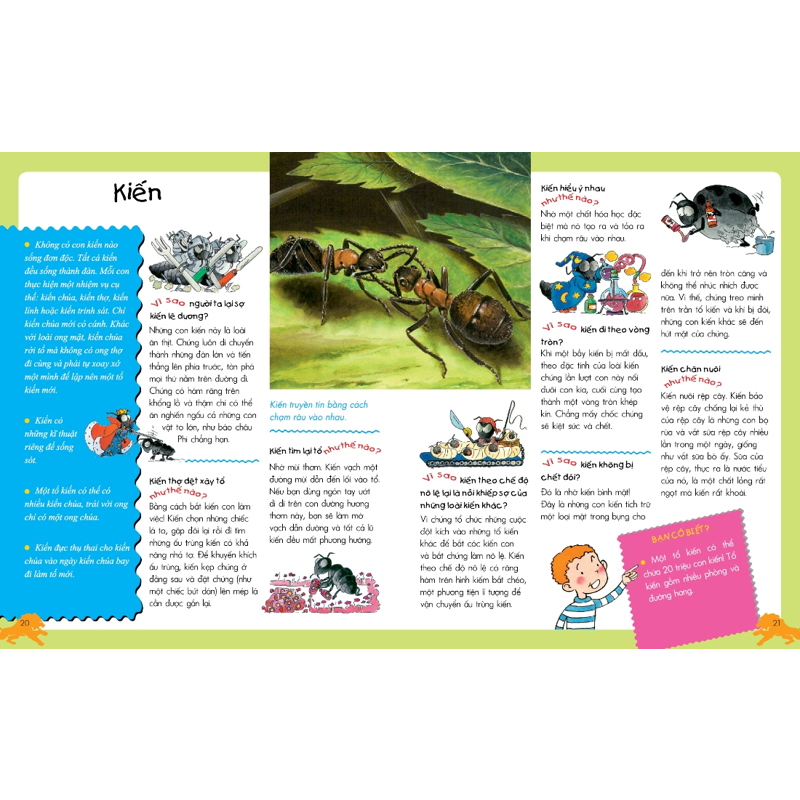 Động Vật - Vì Sao Như Thế Nào (Tái Bản)