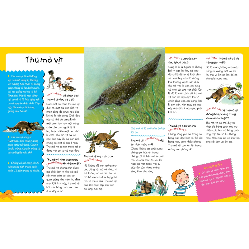 Động Vật - Vì Sao Như Thế Nào (Tái Bản)