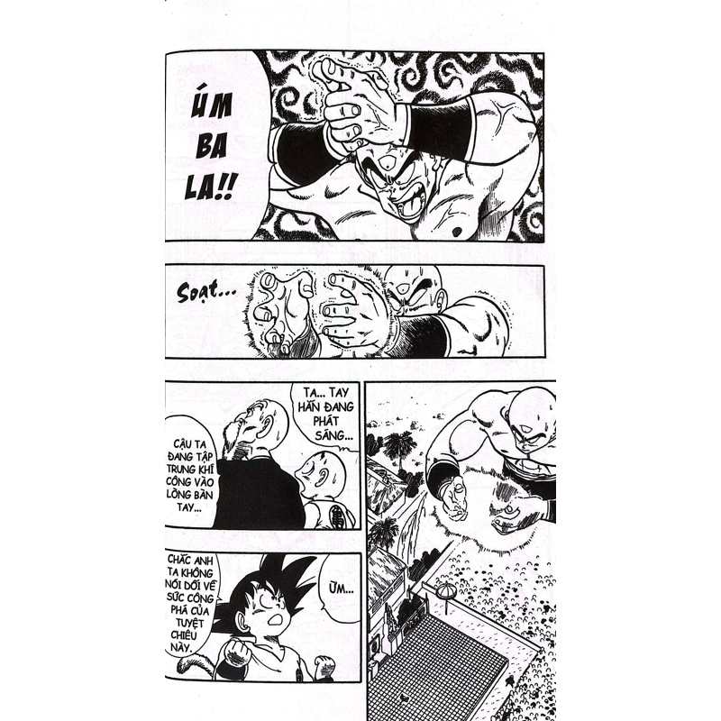 Dragon Ball T12