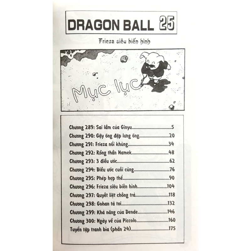 Dragon Ball T25