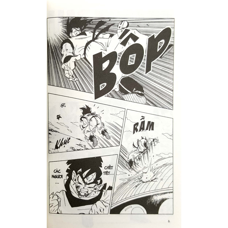 Dragon Ball T25