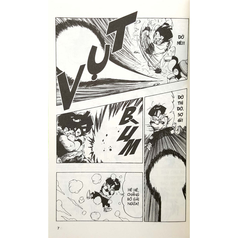 Dragon Ball T25