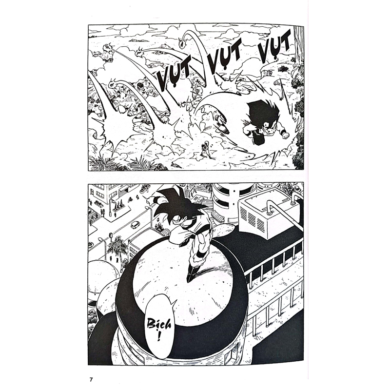 Dragon Ball Tập 29
