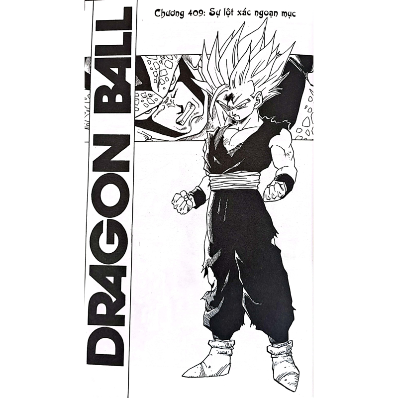 Dragon Ball Tập 35