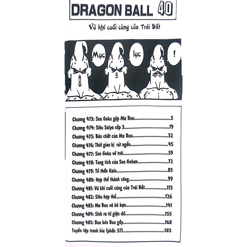 Dragon Ball Tập 40