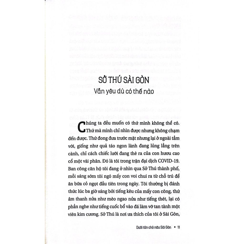 Dưới Tán Chò Nâu Sài Gòn (Song ngữ Việt-Anh)