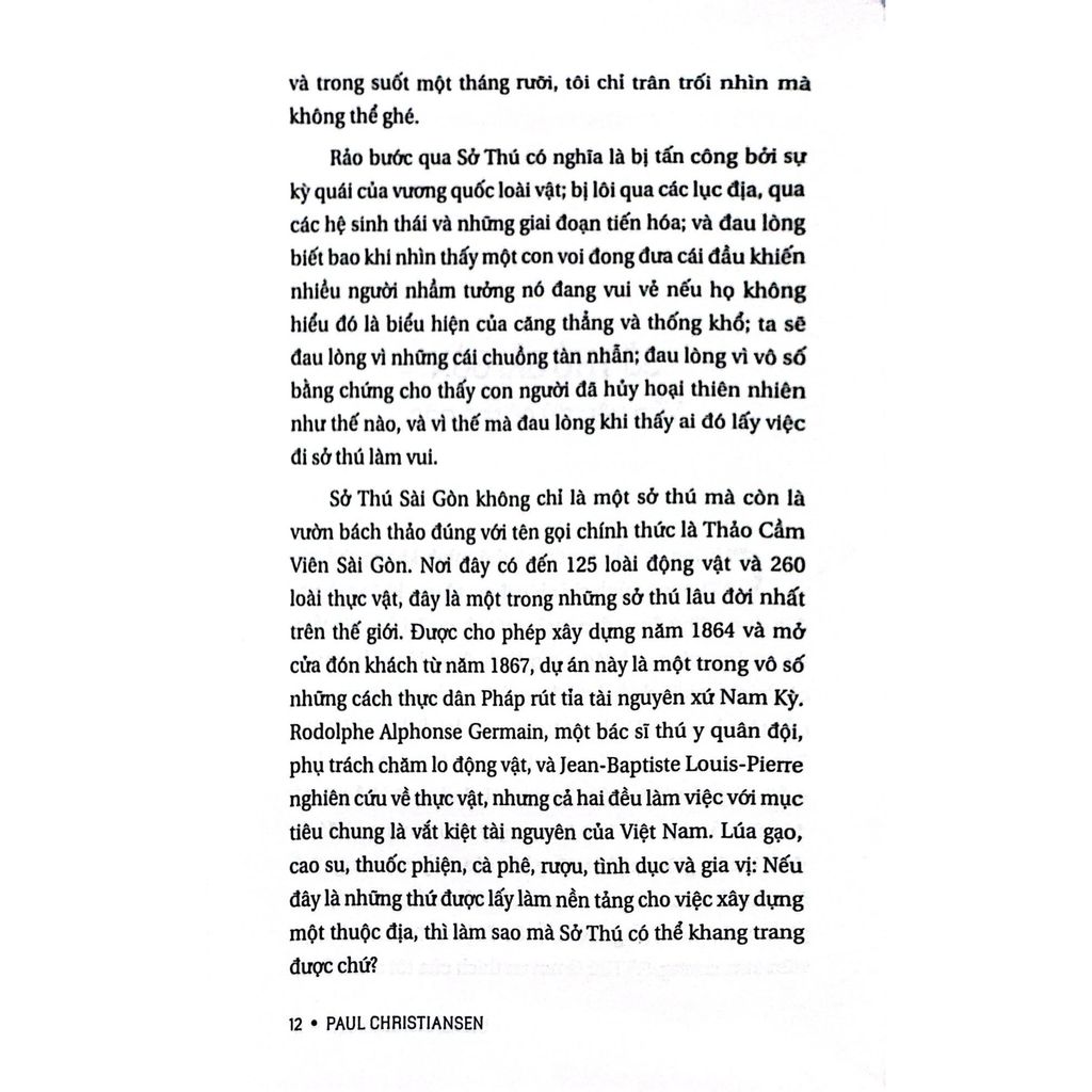 Dưới Tán Chò Nâu Sài Gòn (Song ngữ Việt-Anh)