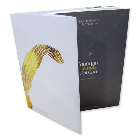 Dưới Tán Chò Nâu Sài Gòn (Song ngữ Việt-Anh)