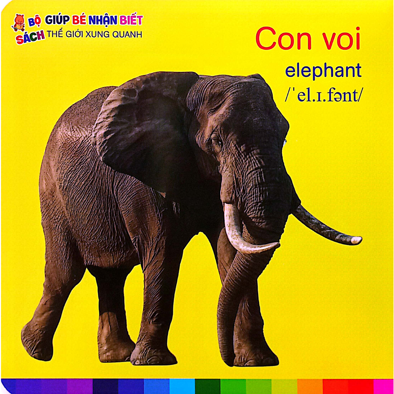Đv Hoang Dã - Bé Nhận Biết Thế Giới Xung Quanh
