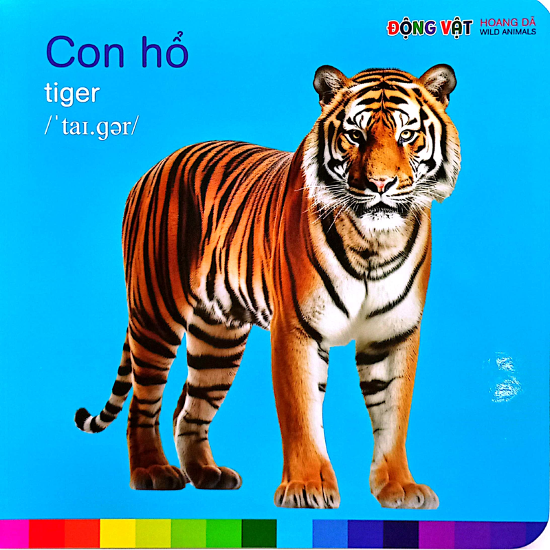 Đv Hoang Dã - Bé Nhận Biết Thế Giới Xung Quanh