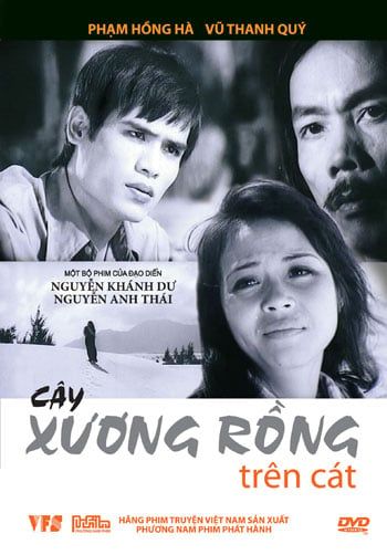 Cây Xương Rồng Trên Cát (DVD)