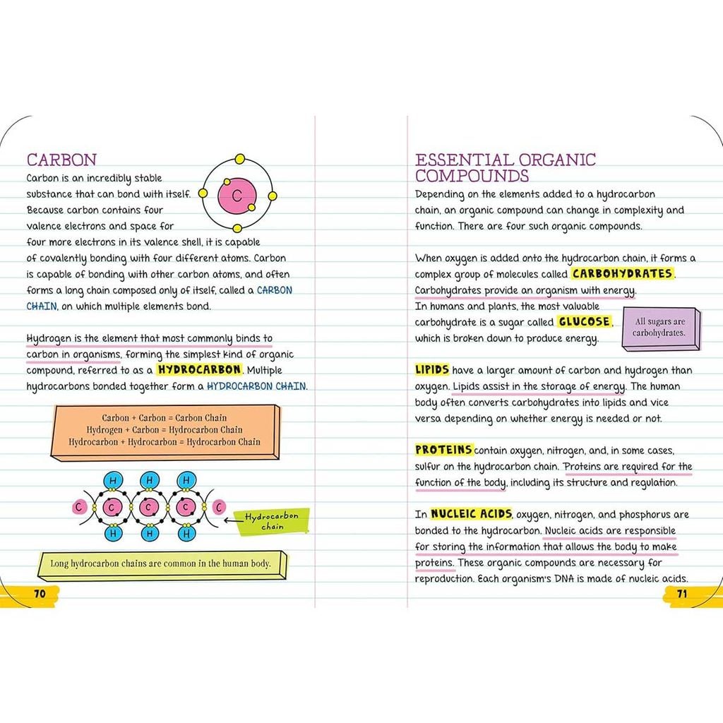 Everything You Need To Ace Biology In One Big Fat Notebook
