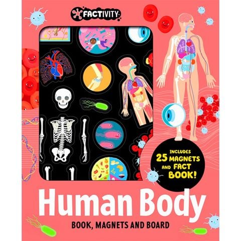 Factivity Volume 2: Magnetic Folder - Human Body