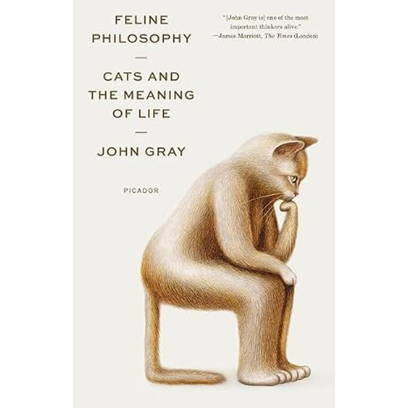 Feline Philosophy_Mus 0724