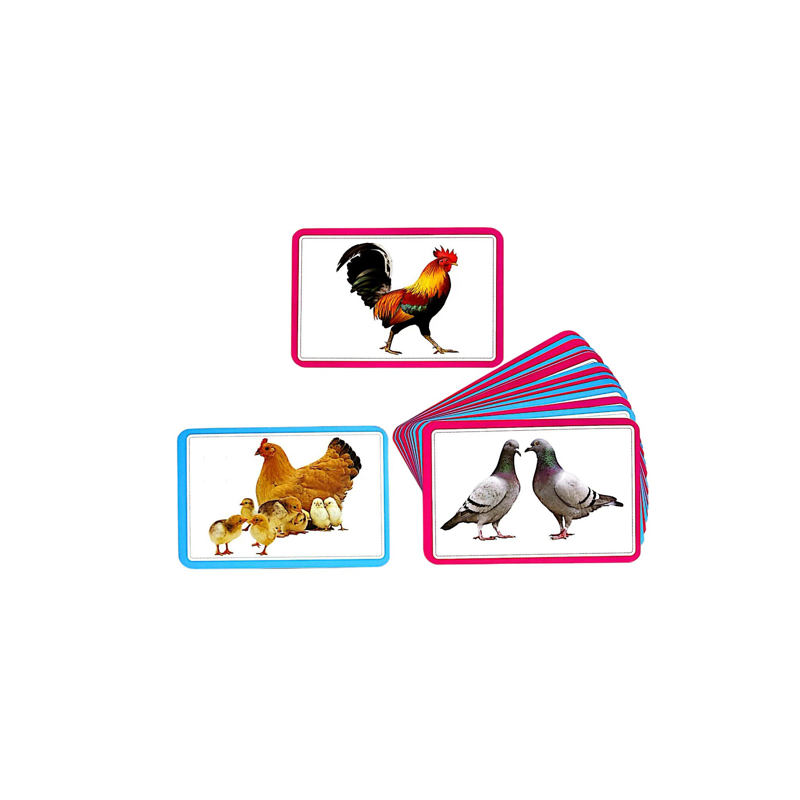 Flashcard Bộ Thẻ Vật Nuôi - Domestic Animals