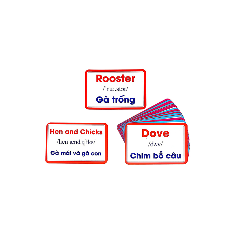 Flashcard Bộ Thẻ Vật Nuôi - Domestic Animals