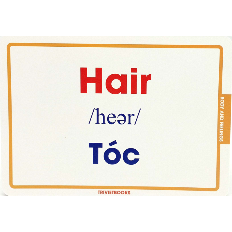 Flashcard Cơ Thể Và Cảm Xúc - Body and Feelings