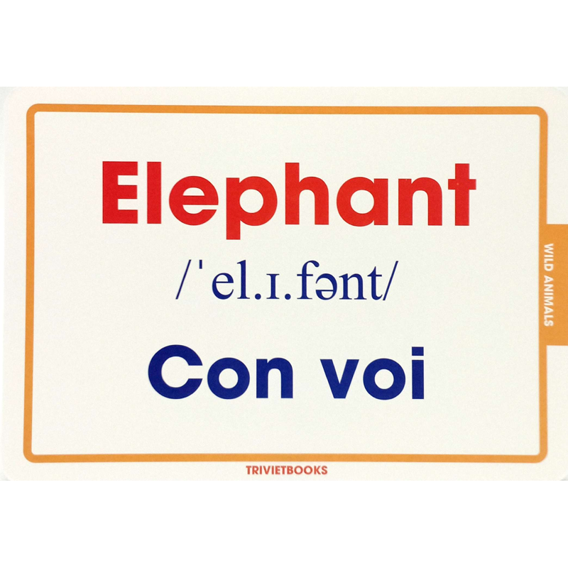 Flashcard Động Vật Hoang Dã - Wild Animals