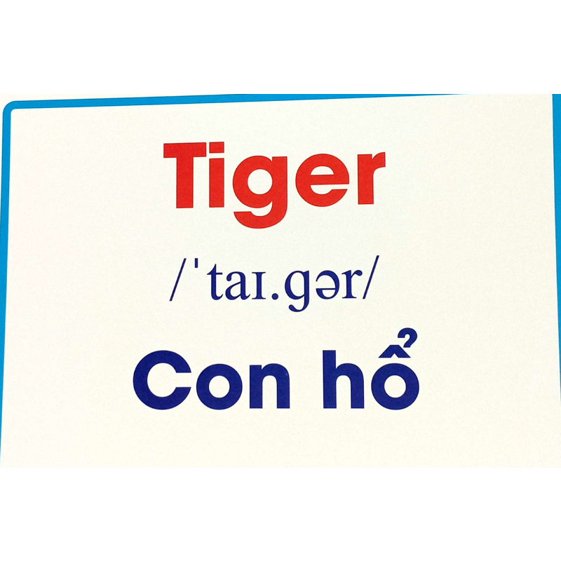 Flashcard Động Vật Hoang Dã - Wild Animals