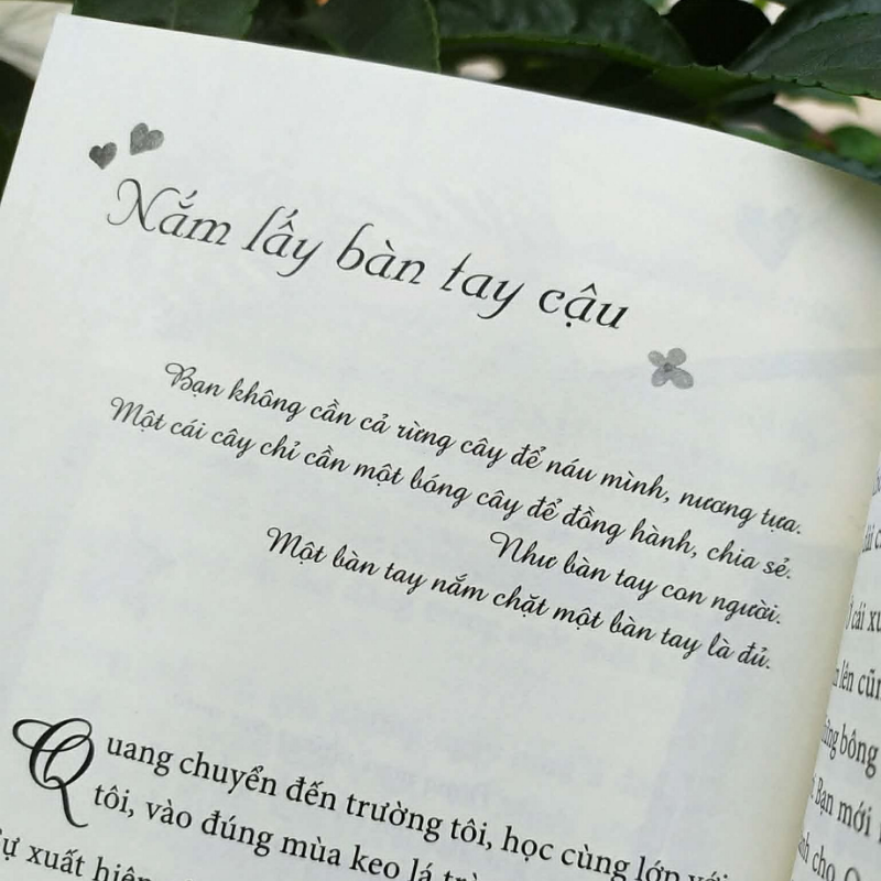 Gặp Cậu Năm Thanh Xuân Đẹp Nhất