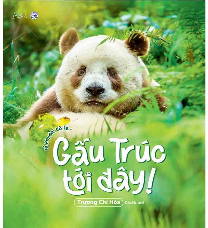 Hi Panda! Cò Le - Gấu Trúc Tới Đây!