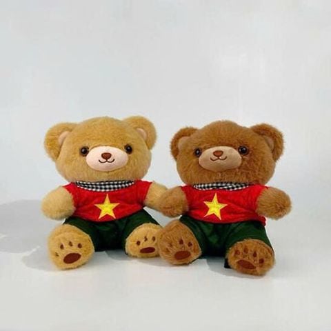 Tb Gấu Yêu Nước Gấu Quốc Kỳ Lông Mịn Tc  Nâu  4034025 40Cm
