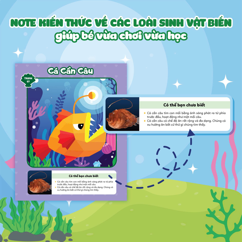 Ghép Hình Sticker 3D - Đại Dương 2