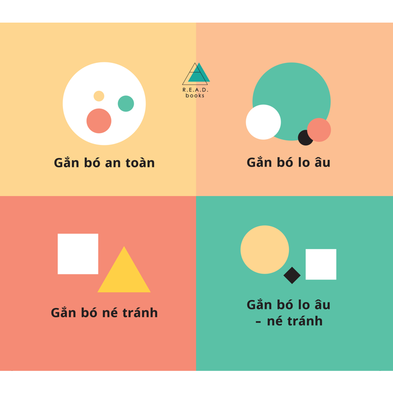 Giải Mã Kiểu Gắn Bó Của Bạn