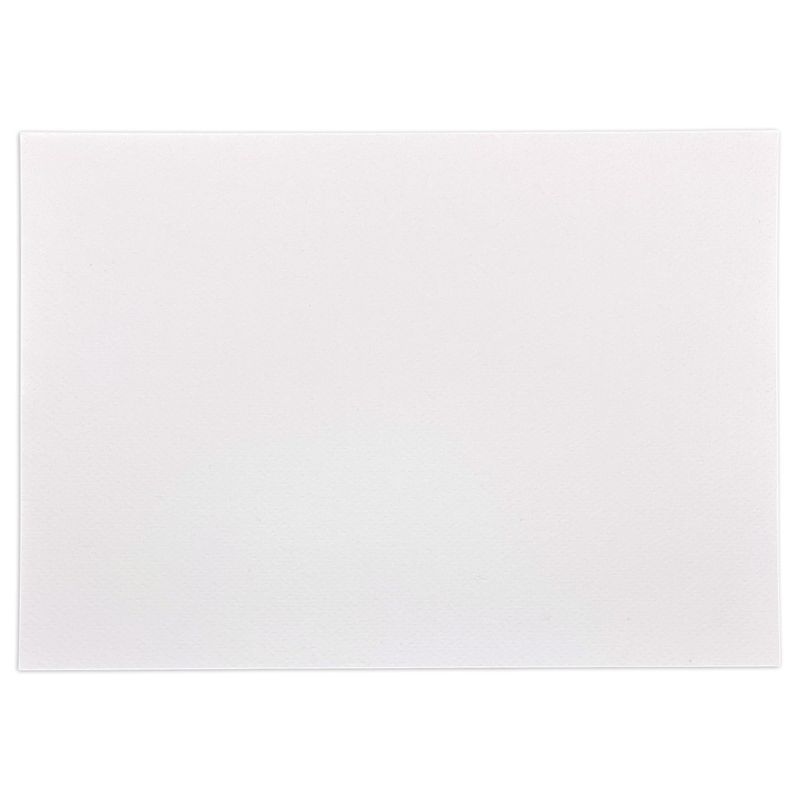 Giấy Canson Fine Face A4 224Gsm (Xấp 10 tờ)