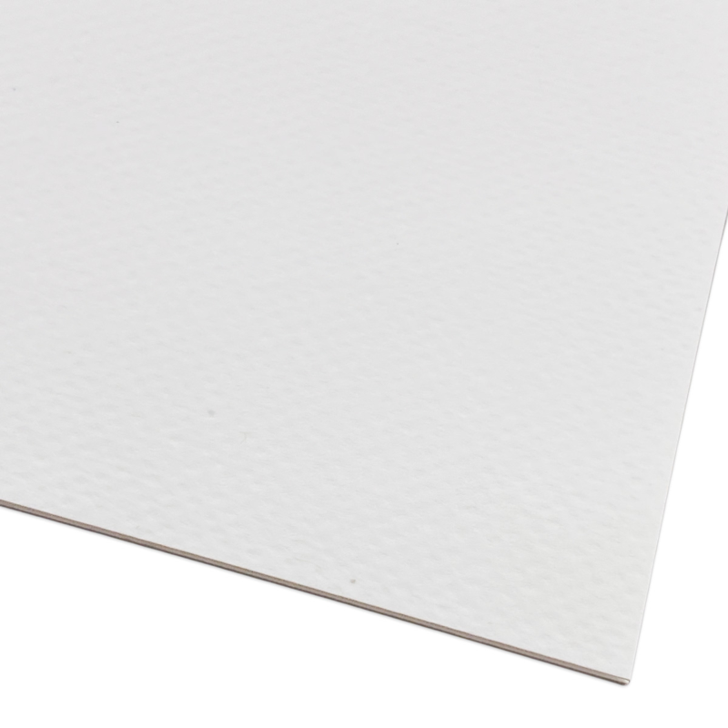 Giấy Canson Fine Face A4 224Gsm (Xấp 10 tờ)