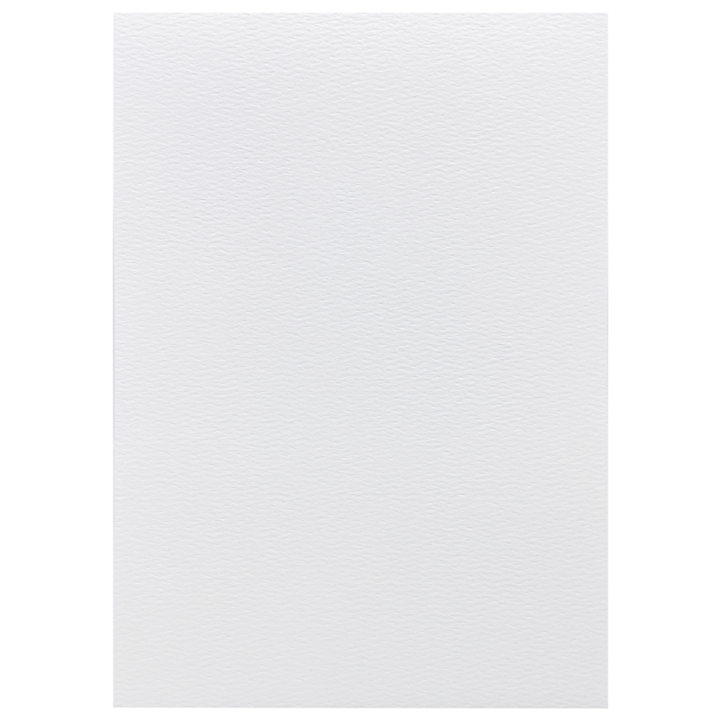 Colormate - Giấy Vẽ Đa Năng A3 250gsm 115107 (10 Tờ/Xấp)