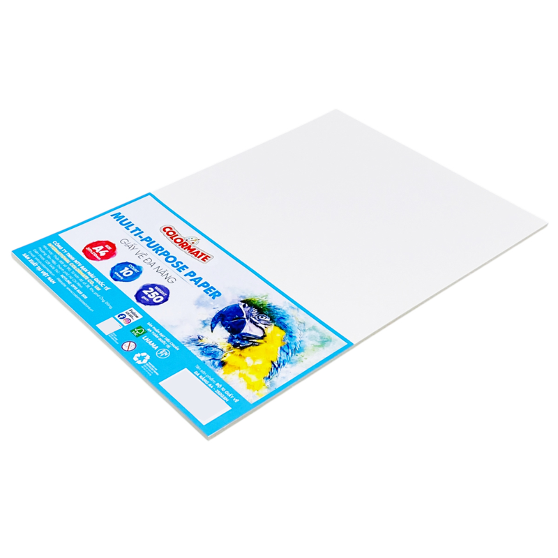 Colormate - Giấy Vẽ Đa Năng A4 250gsm (10Tờ/Xấp)