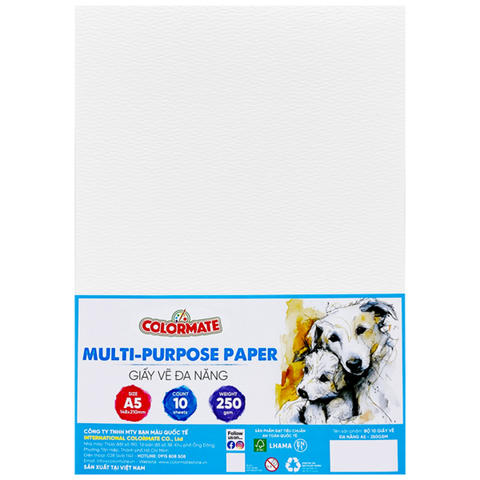 Colormate - Giấy Vẽ Đa Năng A5 250gsm (10 Tờ/Xấp)