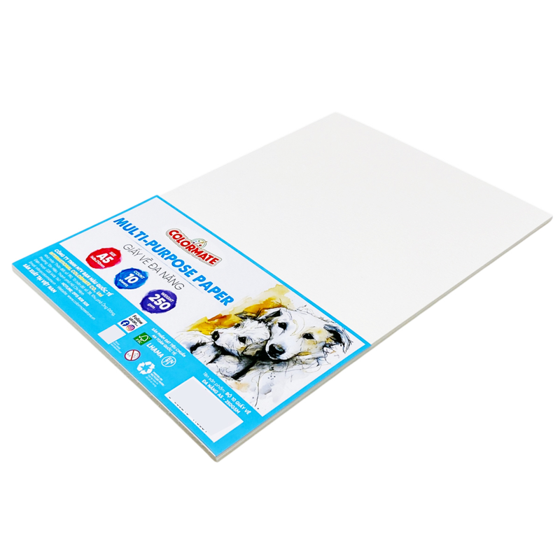 Colormate - Giấy Vẽ Đa Năng A5 250gsm (10 Tờ/Xấp)