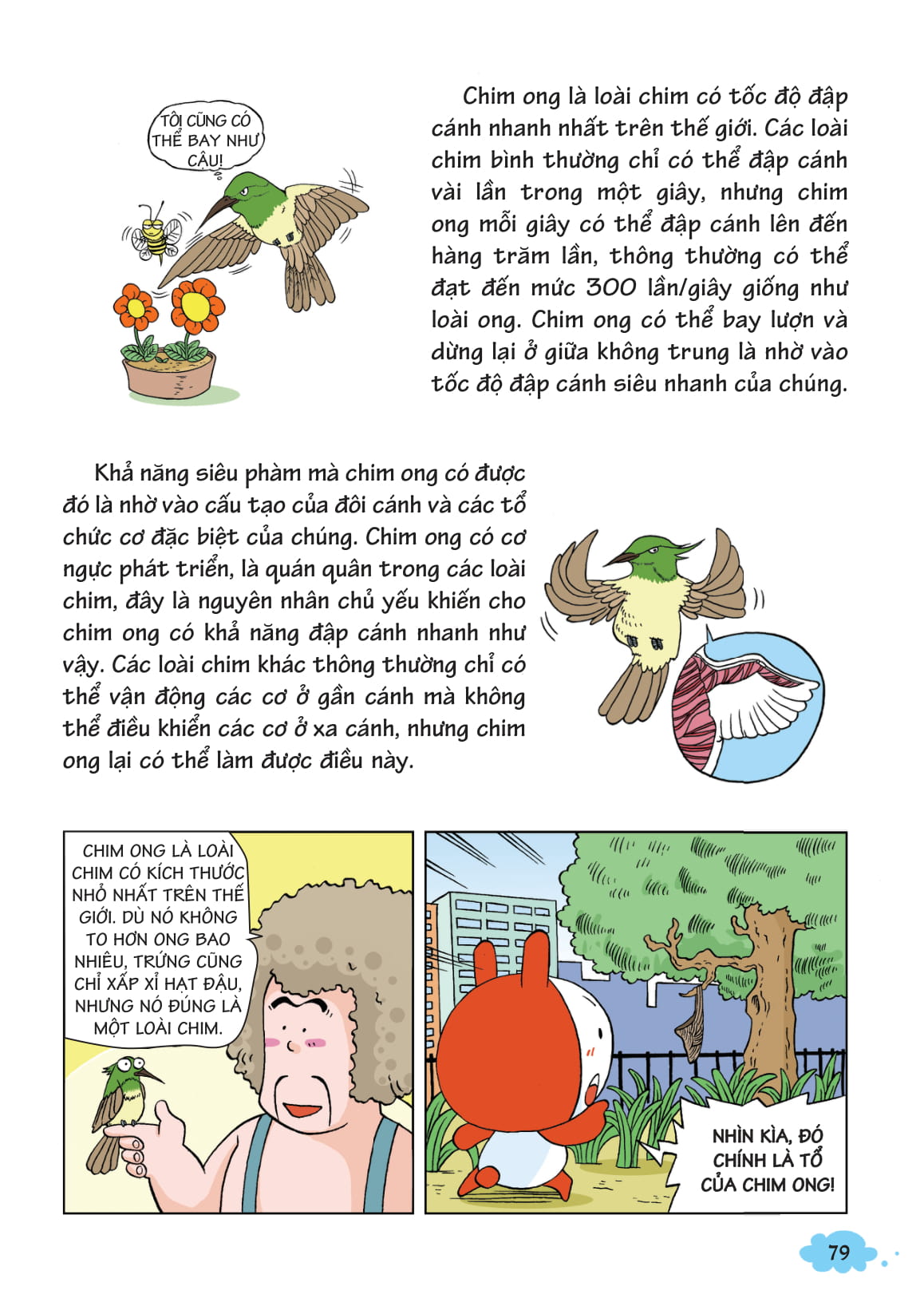 10 VẠN CÂU HỎI VÌ SAO-KHÁM PHÁ THẾ GIỚI ĐỘNG VẬT BAY TRÊN BẦU TRỜI T1