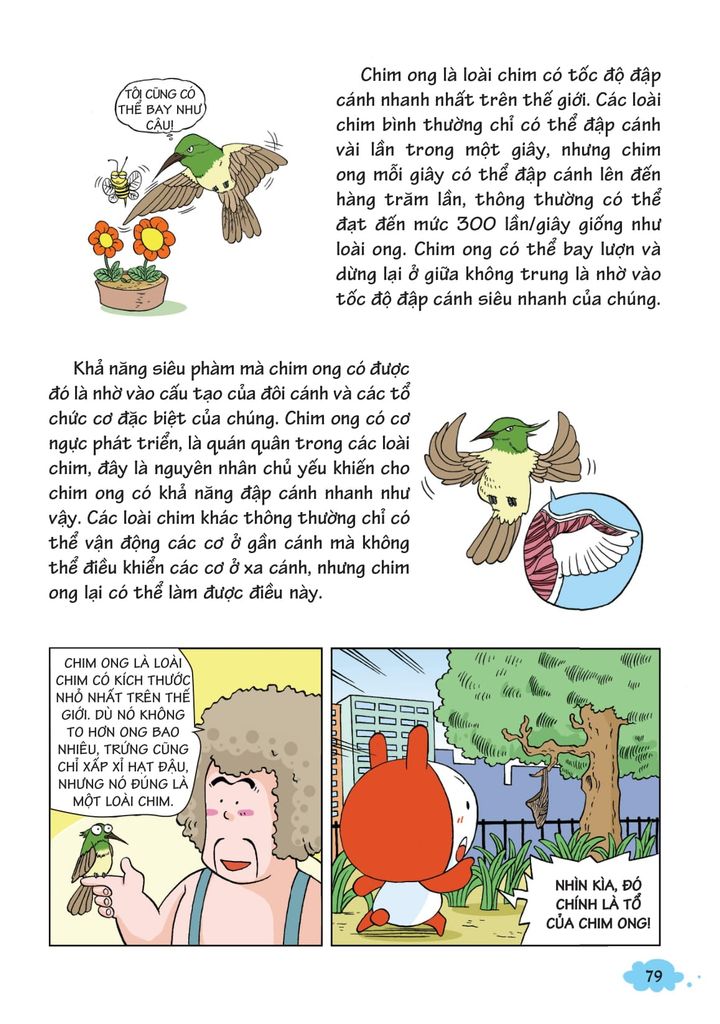 10 VẠN CÂU HỎI VÌ SAO-KHÁM PHÁ THẾ GIỚI ĐỘNG VẬT BAY TRÊN BẦU TRỜI T1