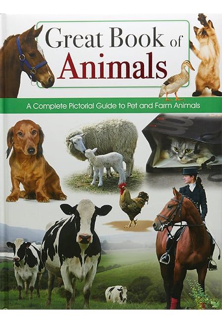 Great Book Of Animals
