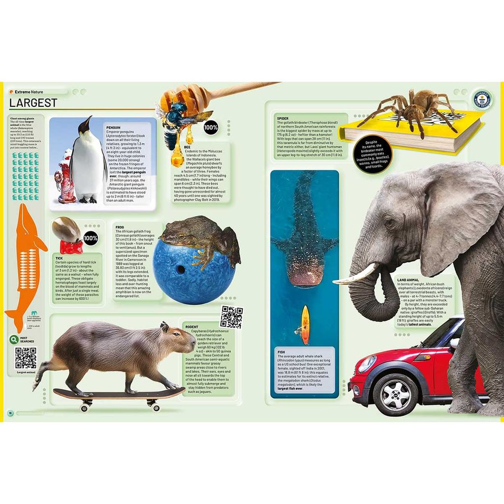 Guinness World Records 2026