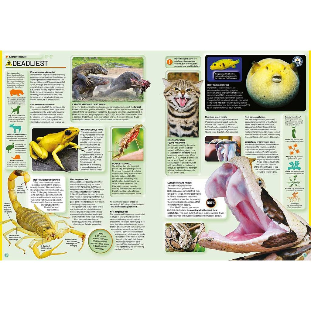 Guinness World Records 2026