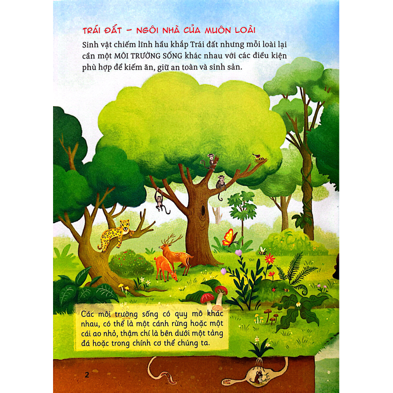Hành Trình Khám Phá-Hệ Sinh Thái