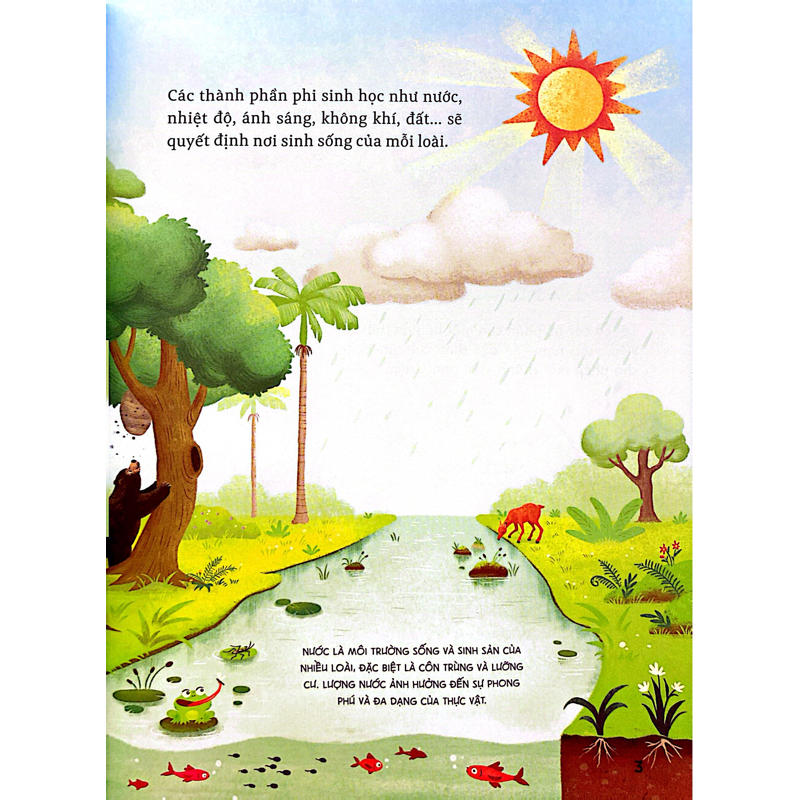 Hành Trình Khám Phá-Hệ Sinh Thái